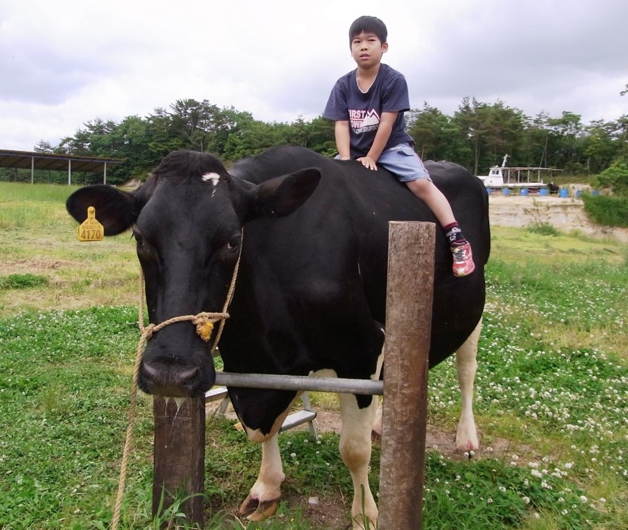 山田牧場 日本滋賀縣旅遊指南 滋賀 琵琶湖